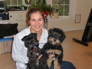 Girl with schnoodle pups