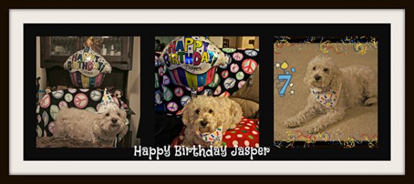 jasper 7 bday