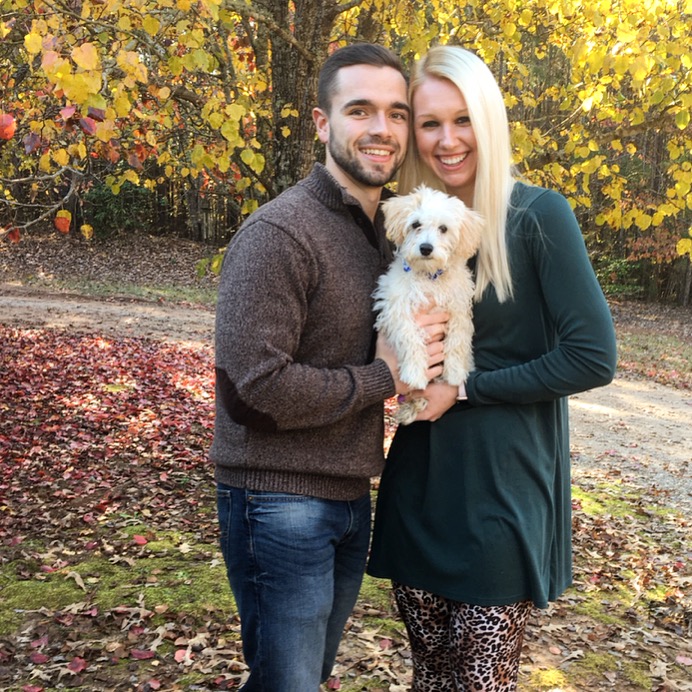 Schnoodle Puppies For Sale & Dog Breeders in Raleigh NC ...